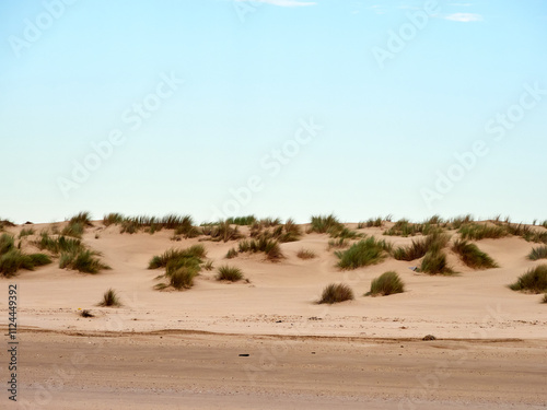 Doñana National Park. Ecosystems that host a unique biodiversity in Europe. The marsh stands out above all. It is one of the most important protected areas in Andalusia 