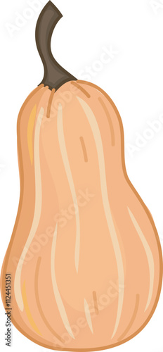 Butternut squash illustration with dark brown stem.