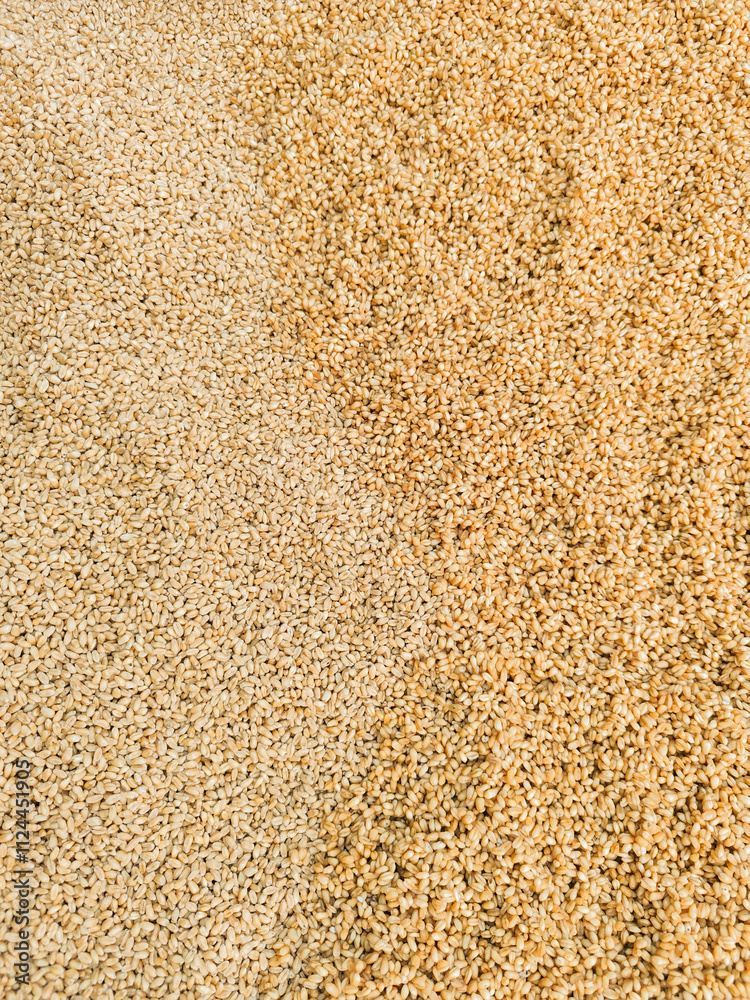 The title of the stock photo Background texture of processed organic wheat seeds and grains The title of the stock photo Background texture of processed organic wheat seeds and grains