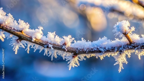 Icy twig covered in frost , winter, cold, frozen, branch, nature, close-up, season, ice, snow, weather, freeze, frosty photo