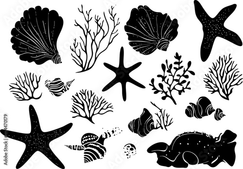 A collection of black and white marine elements including shells, starfish, coral, and other underwater flora and fauna.