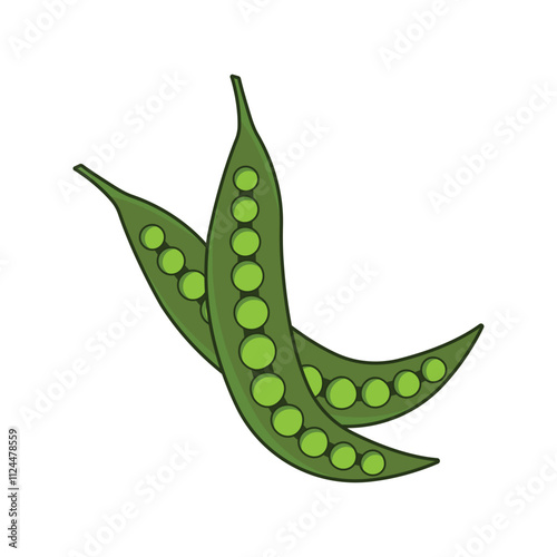 Parkia speciosa Hassk vegetable illustration design