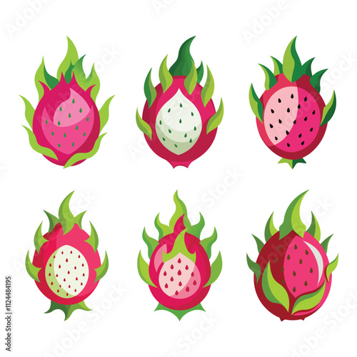 dragon fruit vector