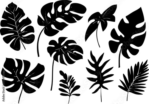 A collection of various black silhouettes of tropical leaves, perfect for design, decoration, or botanical illustrations.