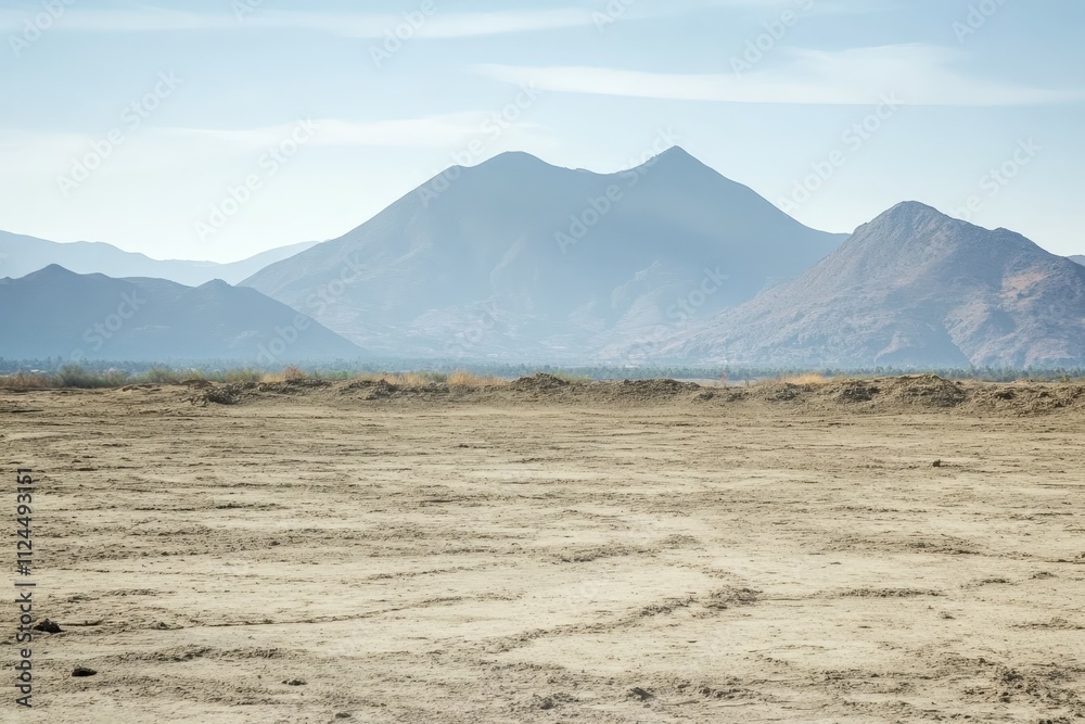 Fototapeta premium A colorful succulent garden with a diverse array of drought-resistant plants, showcasing the beauty and resilience of desert flora. Beautiful simple AI generated image