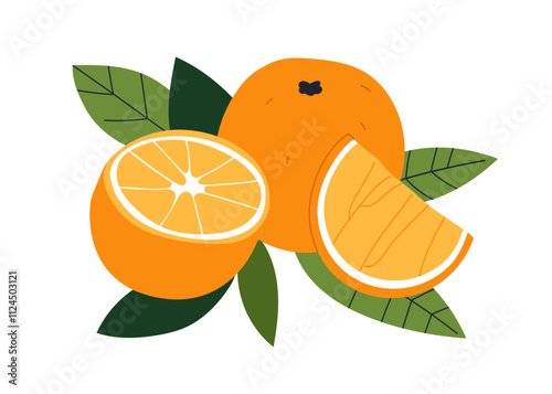 Orange, fresh natural vitamin food. Tropical fruit slices, cut pieces, half and whole citrus on leaf. Exotic sweet healthy nutrition, eating. Flat vector illustration isolated on white background