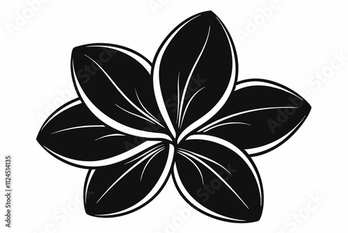  Plumeria flower silhouette black color vector illustration