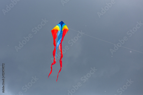 Colorful kite against a gray sky