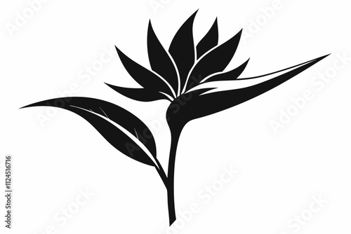 Bird of Paradise flower silhouette black color vector illustration