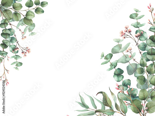 Eucalyptus plant with Gypsophila flower twig. Watercolor floral rectangular banner. Green tree branches with round leaves and pink beige buds. Herbal hand drawn illustration isolated from background 