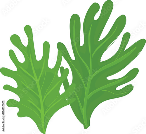 Illustration of Arugula Leaves.