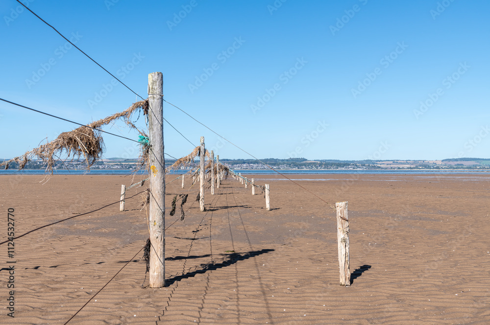 Tidal Animal fence on Headwell Sands, Tentsmuir Point, Tayport, Fife, Scotland Tidal Animal fence on Headwell Sands, Tentsmuir Point, Tayport, Fife, Scotland