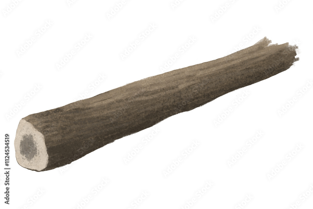 Wooden log png sticker, nature illustration, transparent background Wooden log png sticker, nature illustration, transparent background