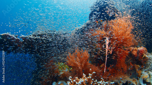 Fototapeta Naklejka Na Ścianę i Meble -  Underwater scene featuring a school of fish gracefully swimming alongside a vibrant coral reef. Raja Ampat, Indonesia