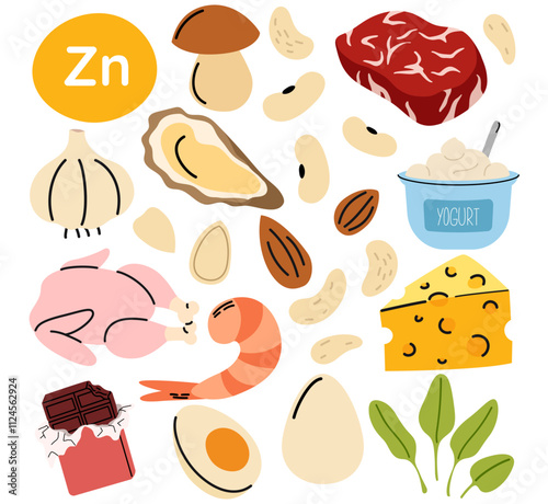 Collection of vitamin zinc food sources. Healthy diet products. Meat, shrimp, nuts, cheese, eggs. Organic nutrition