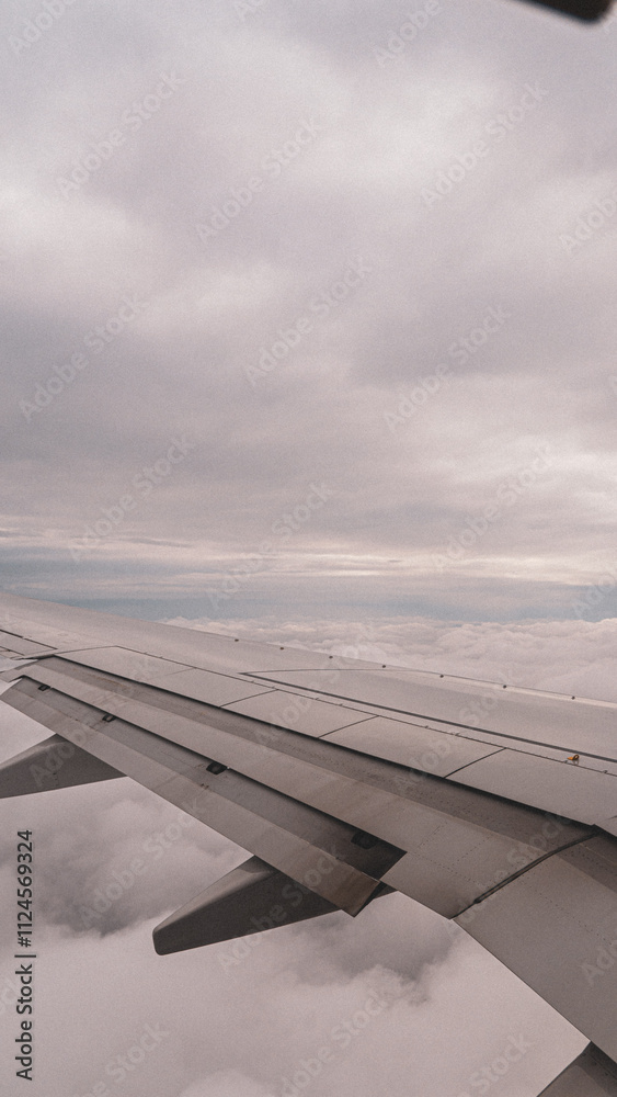 Obraz premium airplane wing over the clouds