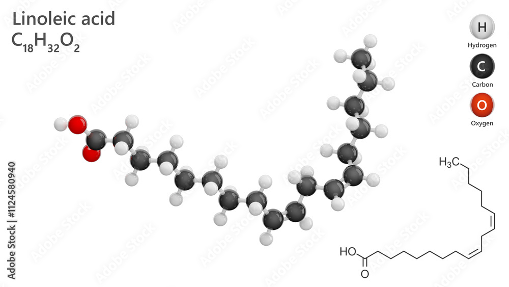 Molecules Linoleic Acid. Polyunsaturated fatty acid. Molecular structure. Formula: C18H32O2. Chemical model: Ball and stick. White background. 3D illustration. Molecules Linoleic Acid. Polyunsaturated fatty acid. Molecular structure. Formula: C18H32O2. Chemical model: Ball and stick. White background. 3D illustration.