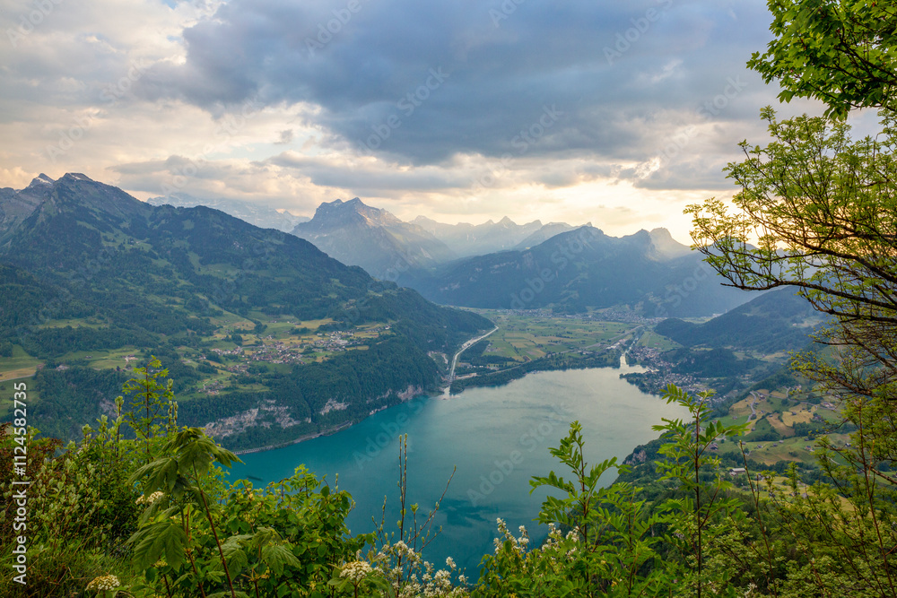 Scenic view of the Rautispitz summit and Lake Walen from Chapf viewpoint in Switzerland Scenic view of the Rautispitz summit and Lake Walen from Chapf viewpoint in Switzerland