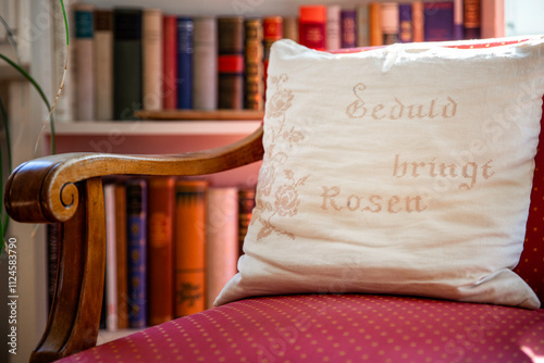 A cushion with a saying about patience lies on an old chair in front of a bookshelf. photo