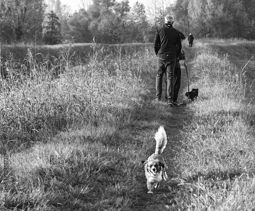 Dog running cane correndo photo