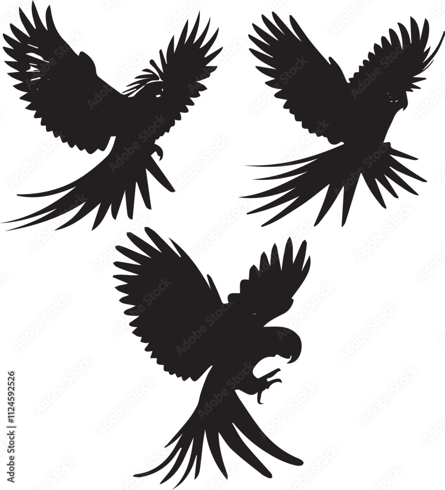 Obraz premium Parrot Silhouettes Collection - Adobe Stock Vector Illustrations