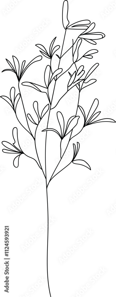 Naklejka premium Wildflower line art. Flat isolated hand drawn flowers. Minimalist style vector illustration