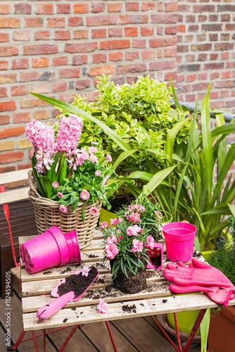 Urban gardening with pink spring flowers on a balcony garden table photo