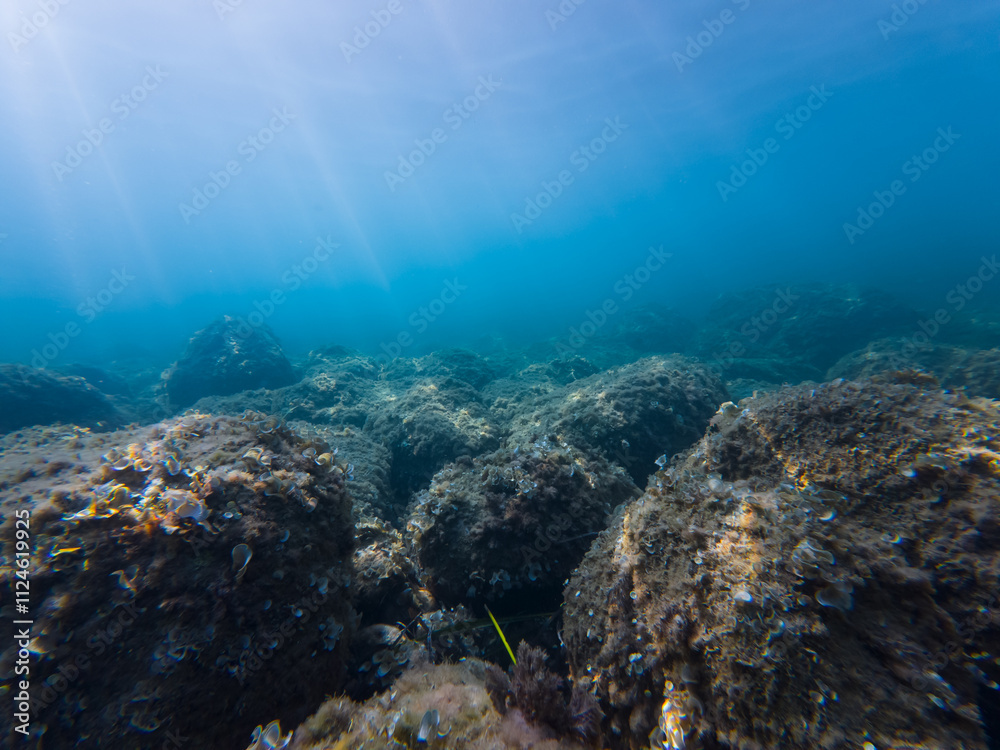 Fototapeta premium Underwater landscape, azure Mediterranean sea through which daylight passes and rocky bottom.