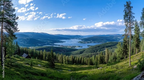 Enjoy the beauty of a lush green field under a blue sky scattered with white clouds in the Swedish countryside, with distant farms visible photo