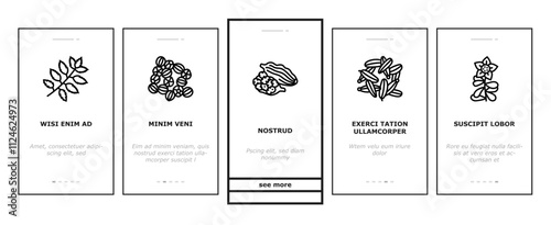 ayurvedic herbs medicine health onboarding mobile vector nature ayurveda, mortar neem, basil, science plant, leaf, organic spices, care, cure ayurvedic herbs medicine health illustrations