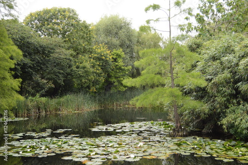 Lakes at Cambridge Botanic Gardens