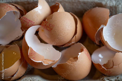 coquilles d'oeuf cassées dans une boîte photo