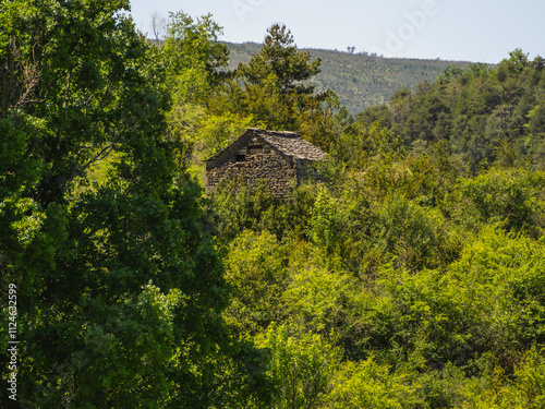 Borda in Aineto. Rehabilitated town of the Aragonese Pyrenees. Huesca photo