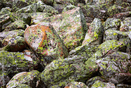 Textured rocks in Taganay park adorned with vibrant green lichen patches The earthy brown and beige tones of the rock contrast sharply with the vivid lichen, highlighting natural patterns and details