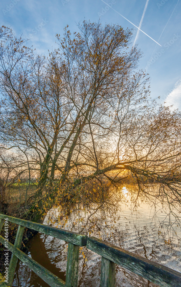 Nearly bare willow branches hang above the water of a small lake at sunset after a sunny day in the autumn season. At the bottom of the picture is a part of a wooden railing of a pedestrian bridge.
