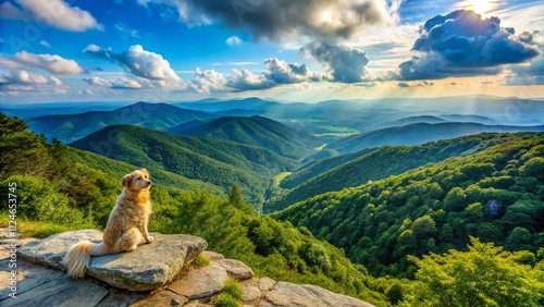 Aerial View of a Small Dog Observing the Scenic Overlook at Marys Rock in Shenandoah National Park, Surrounded by Lush Greenery and Majestic Mountains