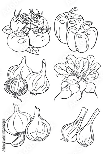 vegetables doodle set, hand drawn illustration on white background. Line drawn vegetables. Element for label design
