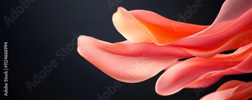 Flower petals transforming into flowing fabric, merging nature and fashion photo