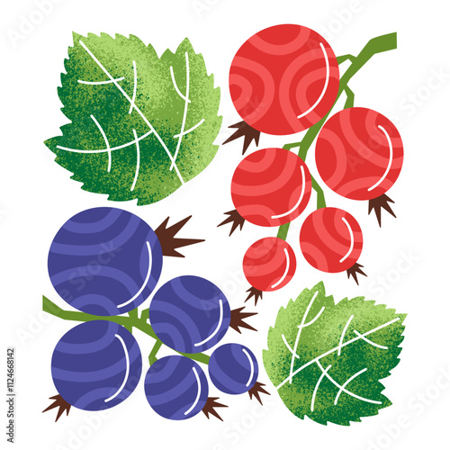 Beautiful illustration with texture. Currant berries and leaves. Vector graphic