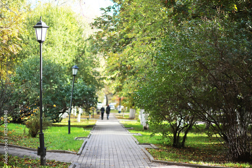 city park without people on an autumn day, bright rays of the sun shine through the crowns of maple trees photo