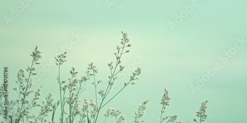 A pale mint green backdrop with a smooth gradient and soft edges, creating a peaceful minimalist effect.