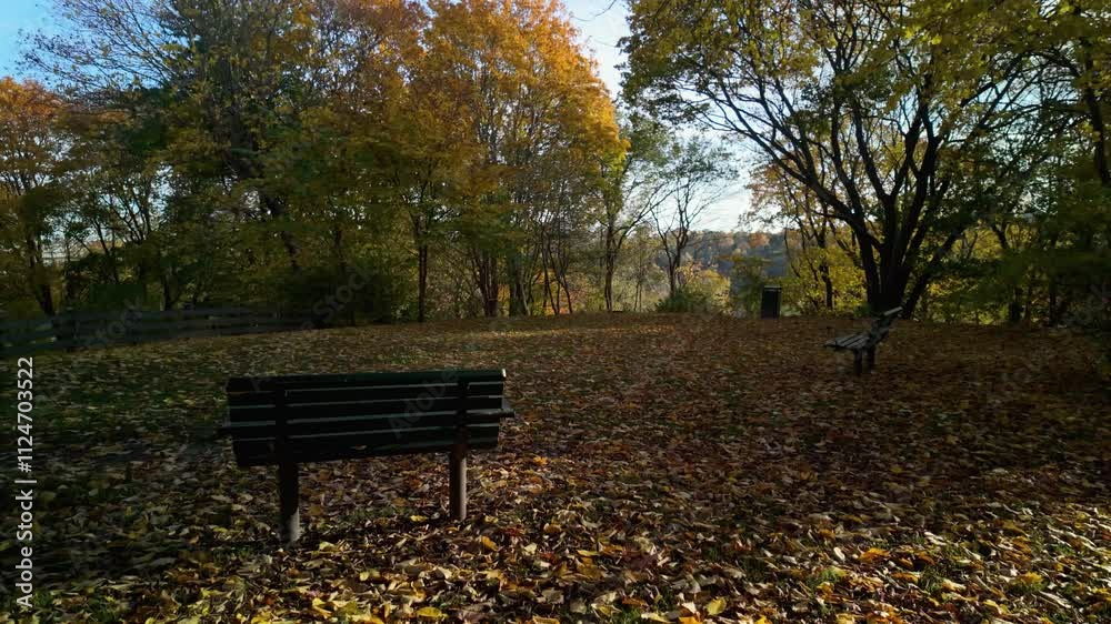 Empty Benches And Golden Leaves In Park In Autumn In Stockholm, Sweden. Static Shot Empty Benches And Golden Leaves In Park In Autumn In Stockholm, Sweden. Static Shot