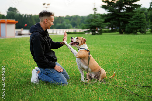 Dog and man on a walk. Closeup, outdoor. Concept of care, education, obedience training and raising pets. Dog gives a paw to the owner. American bulldog.