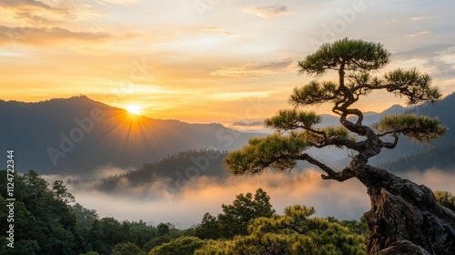 Tranquil Sunrise Over Misty Mountains with Rolling Hills and a Bonsai Tree Silhouette