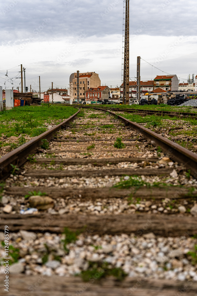 Obraz premium RHC02441.ARW