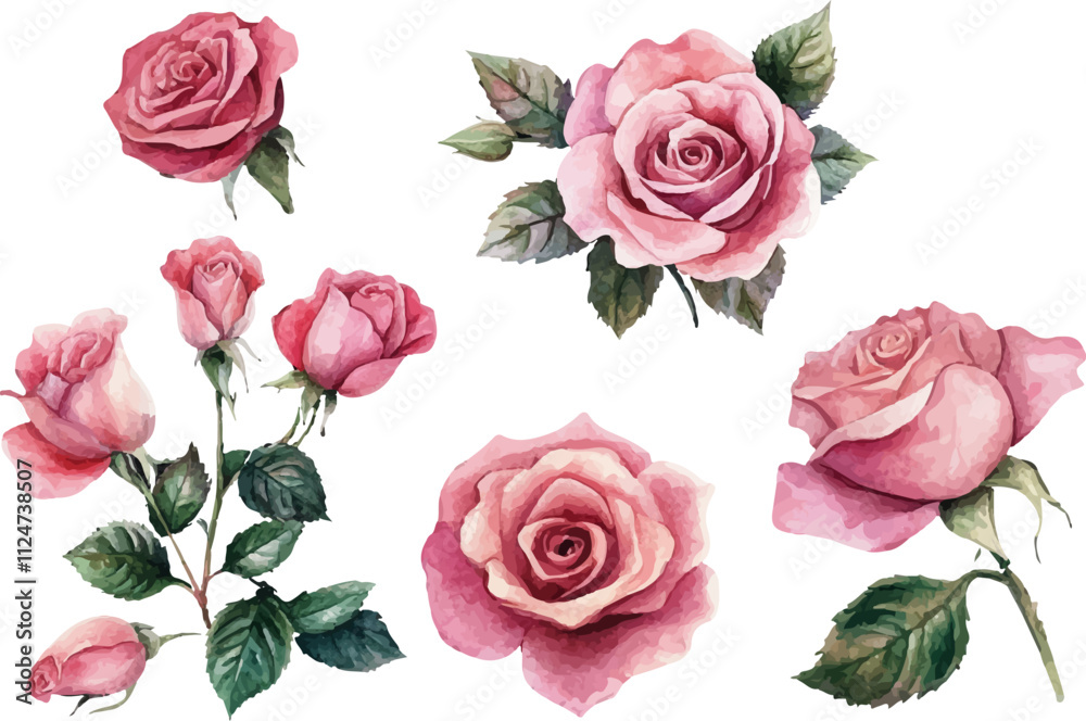 Fototapeta premium roses flowers set