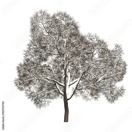 Wallpaper Mural abstract snow tree isolated on transparent png background - 3D Illustration Torontodigital.ca