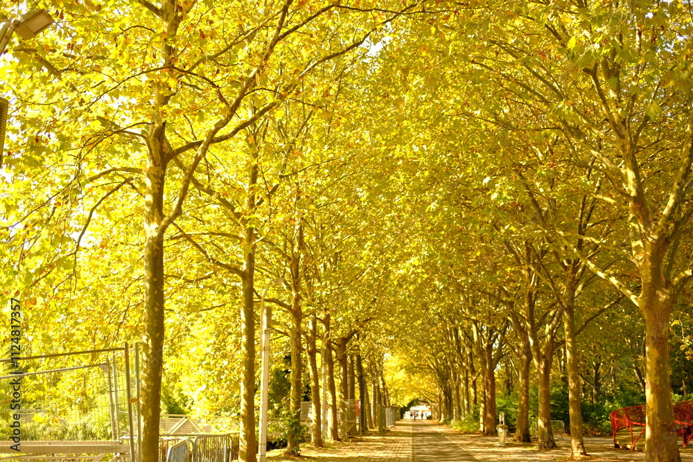 Naklejka premium Paris, France