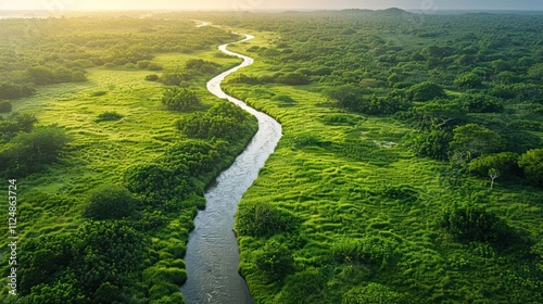 A serene river winding through lush green landscapes under a soft morning light.