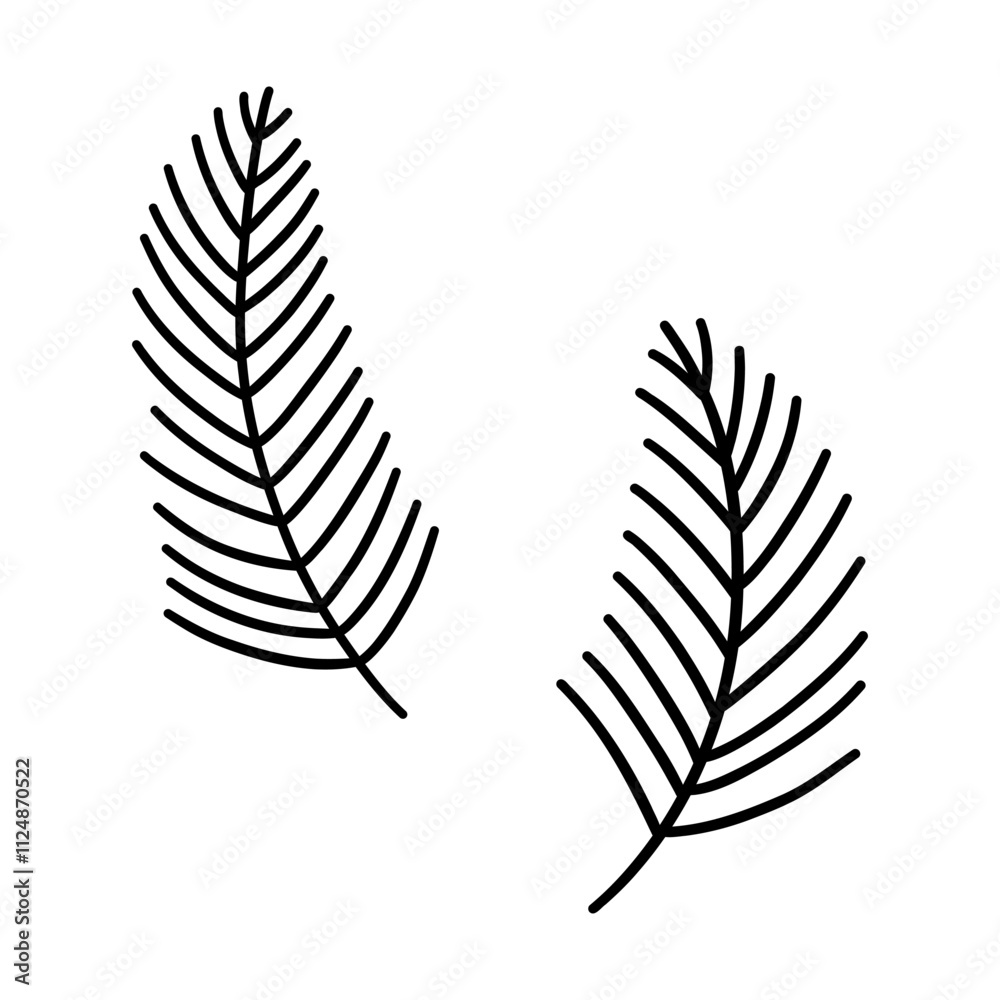 Fototapeta premium Spruce twigs. Set of two pine branches, evergreen tree. Black and white vector isolated illustration doodle hand drawn. Christmas tree twigs. Design element card clip art